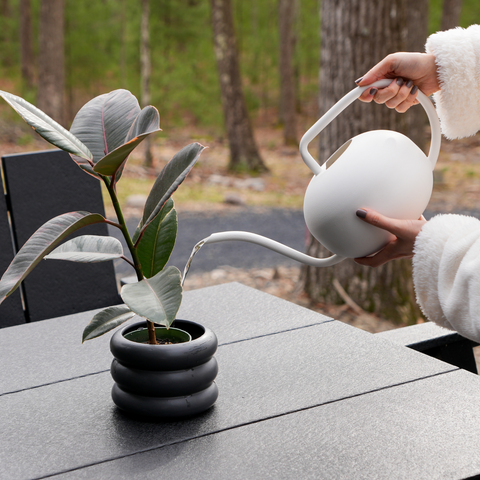 Jazmin Watering Can